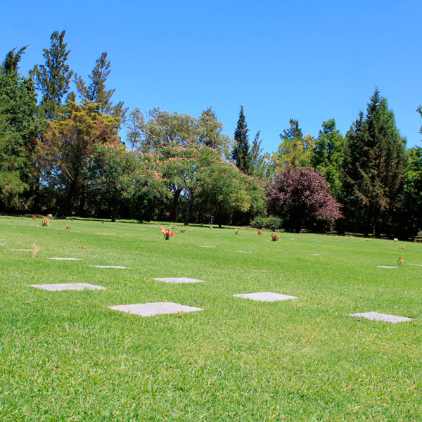 Cementerio Parque Manantial